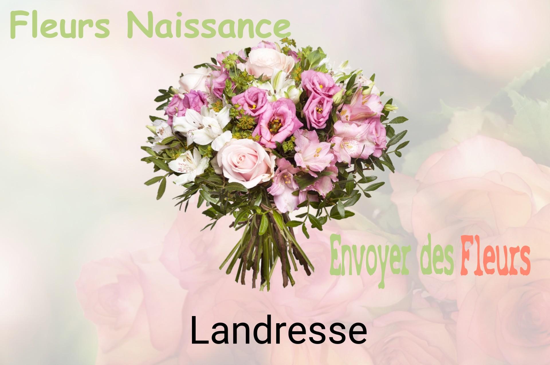 Bouquet de fleurs de naissance livré à Landresse