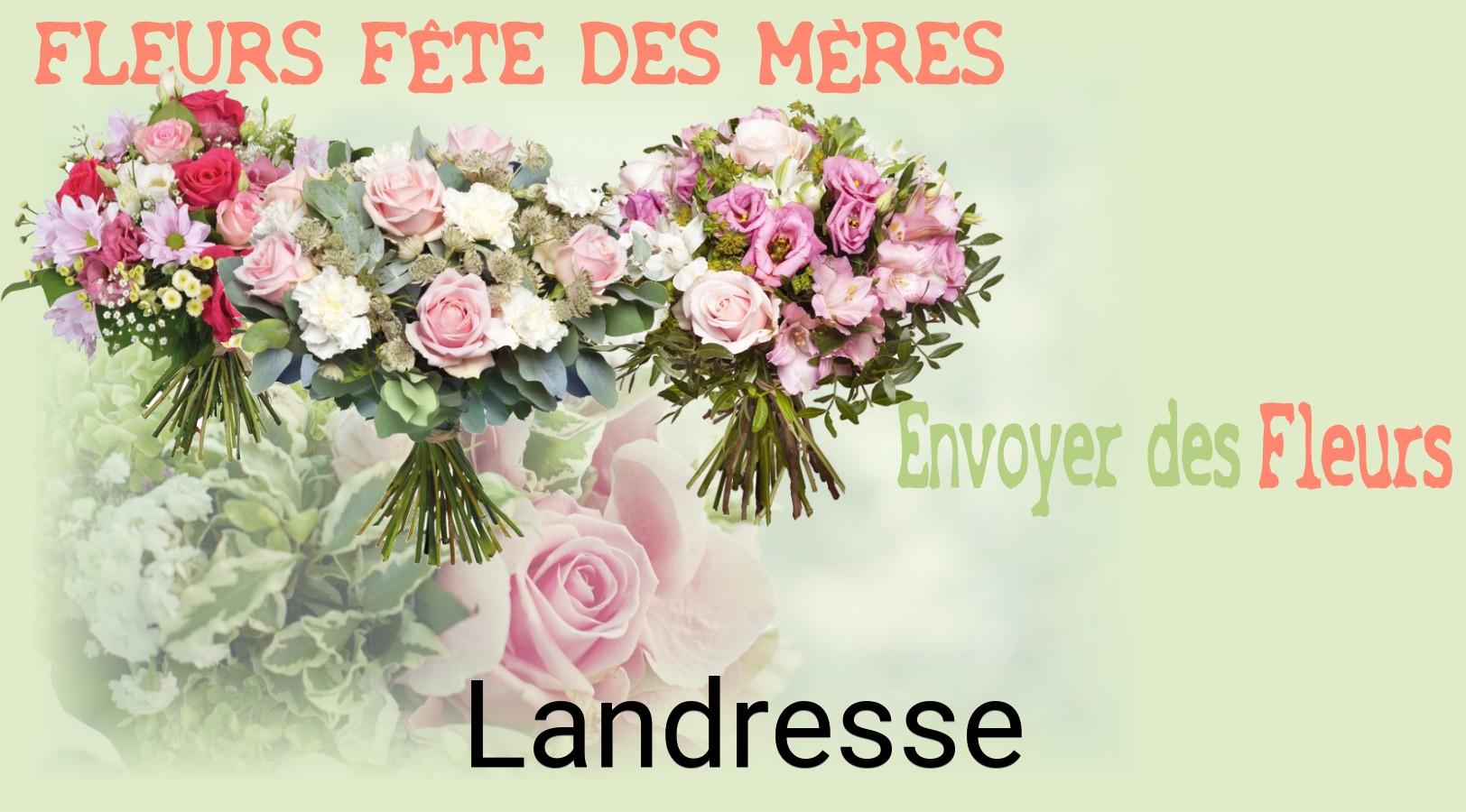 Bouquet de Fête des Mères livré à Landresse